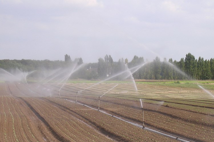  Land Irrigation and Drainage