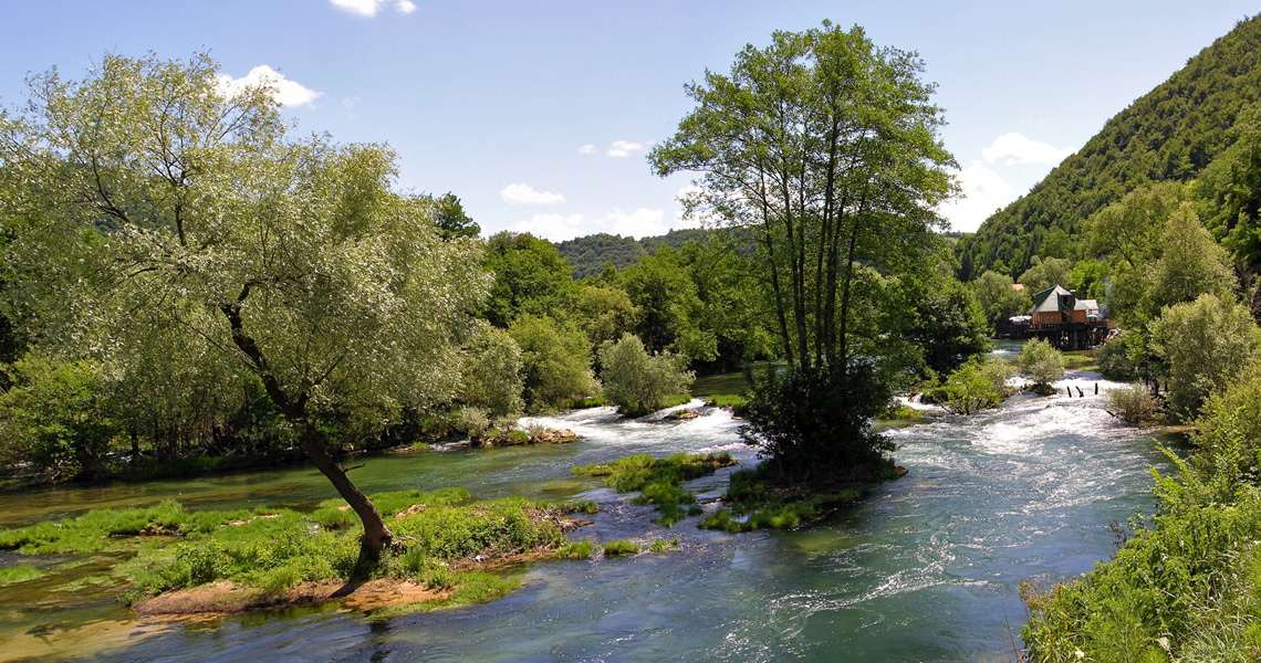Zaštita voda